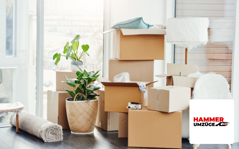 Webdesign Agentur Darmstadt Referenz Umzugsunternehmen